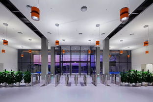 寶鷹精品項(xiàng)目 國(guó)際學(xué)校裝飾典范 薈同學(xué)校深圳校區(qū)