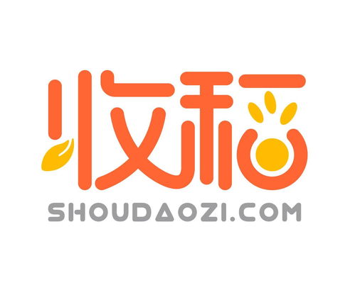 收稻網(wǎng)絡(luò)科技 立足上海，引領(lǐng)計(jì)算機(jī)軟硬件技術(shù)開(kāi)發(fā)新篇章