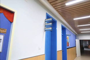 學(xué)校食堂食品安全引關(guān)注，官方回應(yīng) 涉事蔬菜霉變，校長被免職